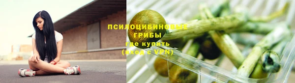 стафф Армянск