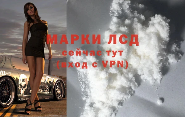 гидра Аркадак