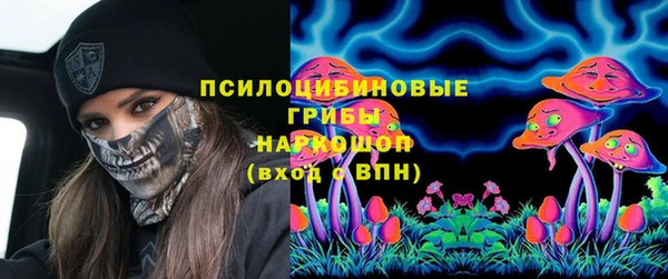 гидра Аркадак