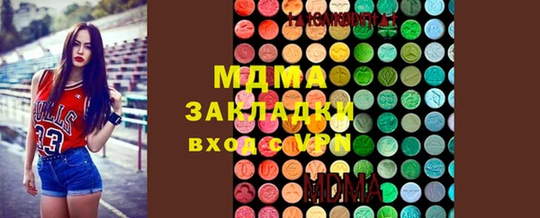 гидра Аркадак